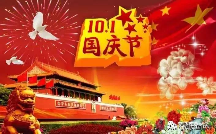 最好养的观赏鱼寓意好的,具观赏性又吉祥的观赏鱼