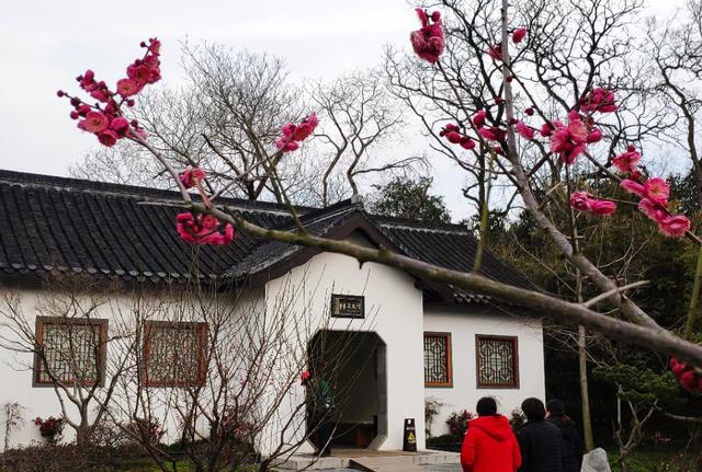 来扬州一定要去瘦西湖美出仙境,记录扬州瘦西湖之旅