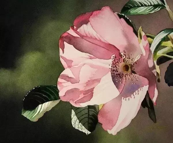 柏拉图十句爱情名言英文版,柏拉图影响整个文明的150句名言