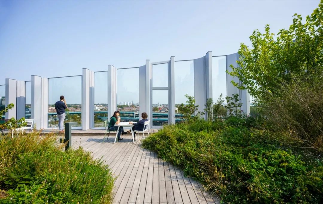 被绿植包围的大楼,被绿植围绕的空间