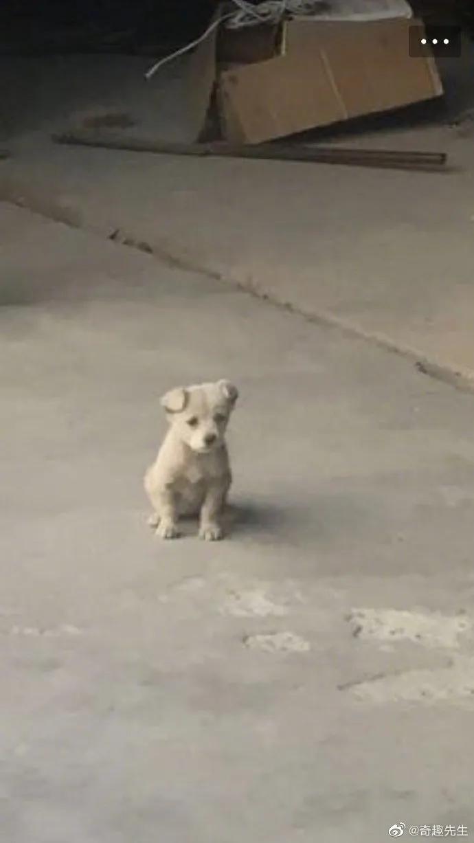 搞笑:黑客:遇到高手了,我刚刚进去就被T出来了