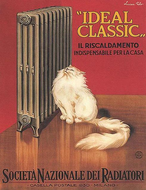 为什么古早广告会出现猫,为何古早广告中经常出现猫