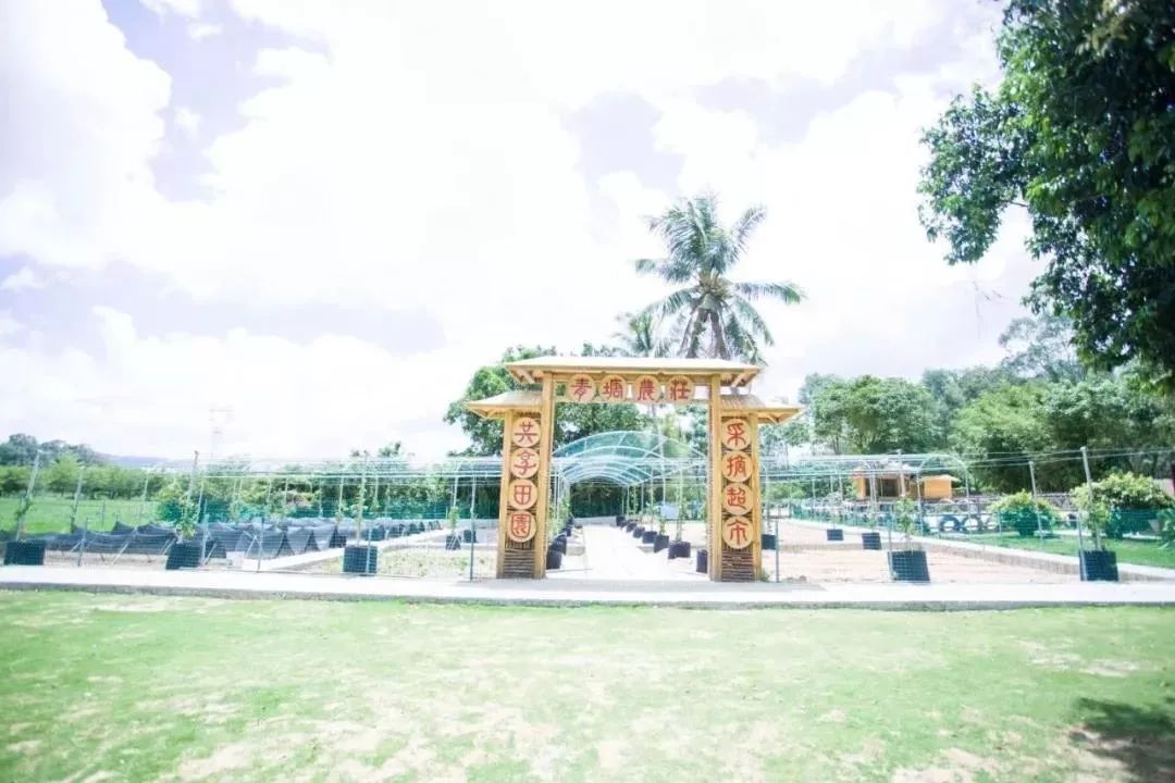 青塘会员卡正式上线，粉丝福利送不停！！！