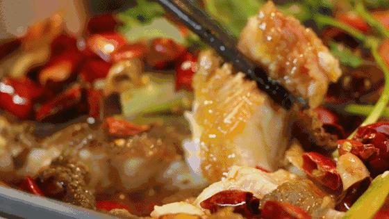 海螺沟温泉瑶池和贡嘎神汤哪家好,海螺沟天域瑶池温泉最新