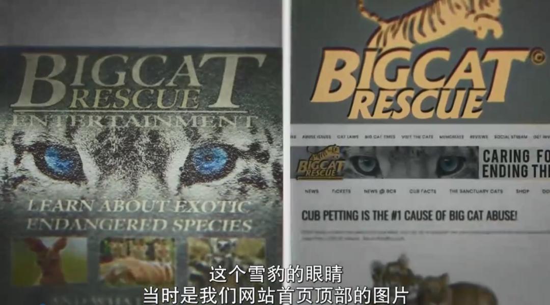 疫情中全美国都在安利这疯子电影