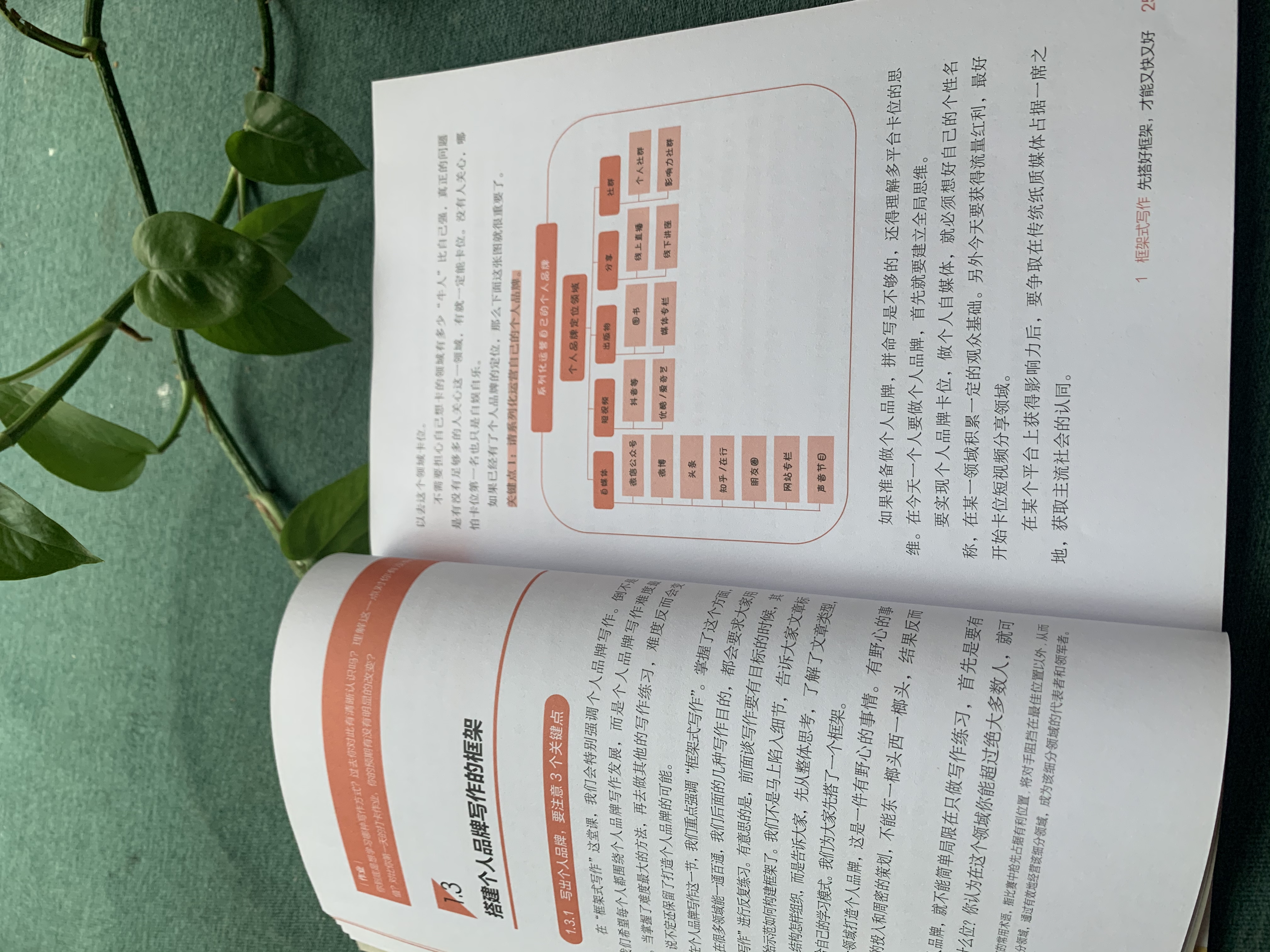 秋叶大叔书评,秋叶大叔的书籍