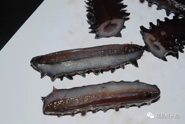 海参市场详情 (海参市场信息)