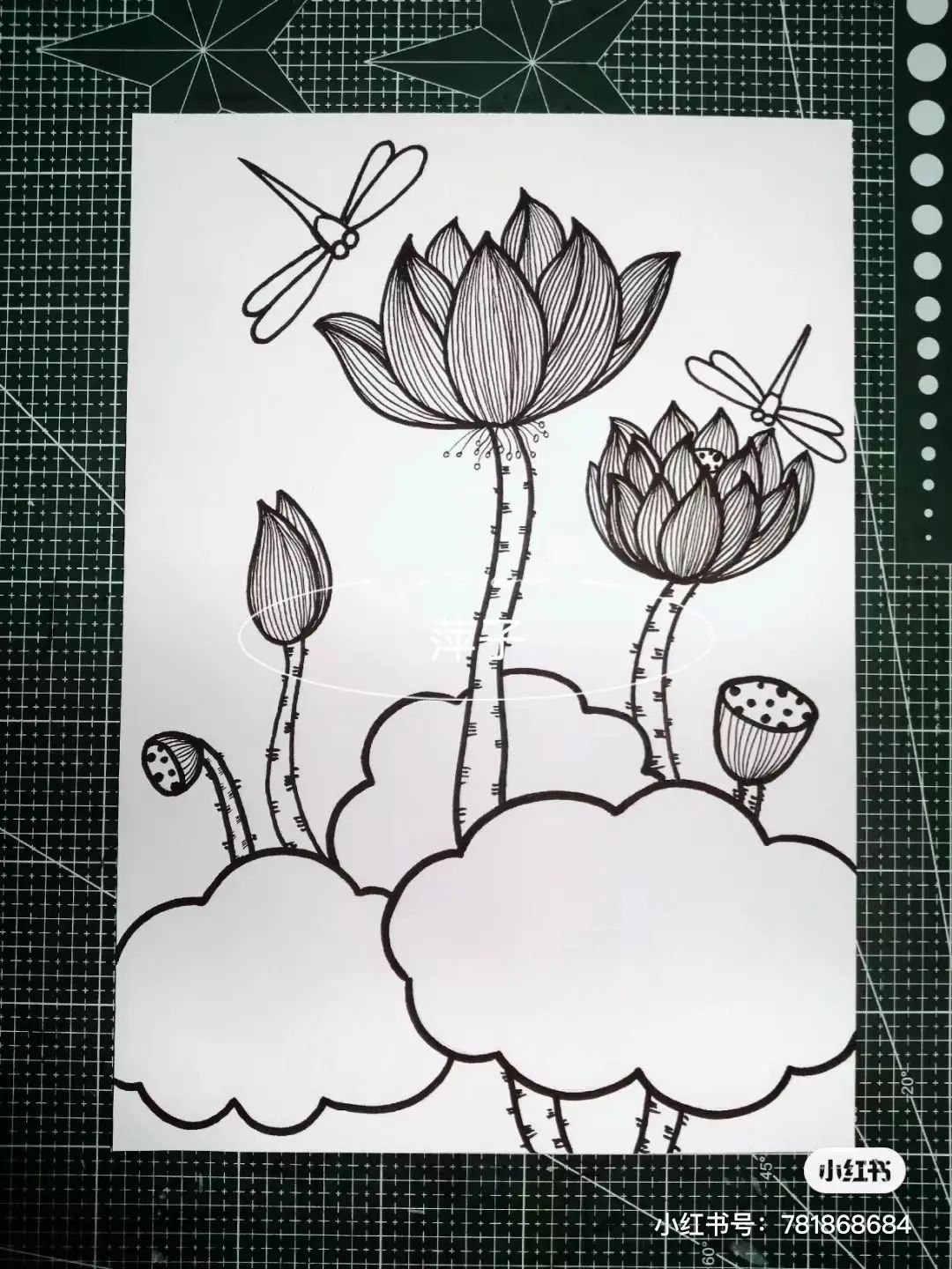 花卉简单线描创意画,花草线描画装饰
