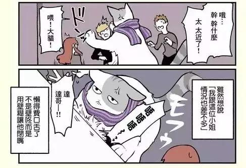 假如自己变成猫是什么体验,从人类变成猫是什么体验