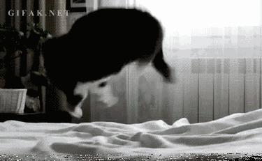 搞笑gif动图吸引人,不听话搞笑gif动图