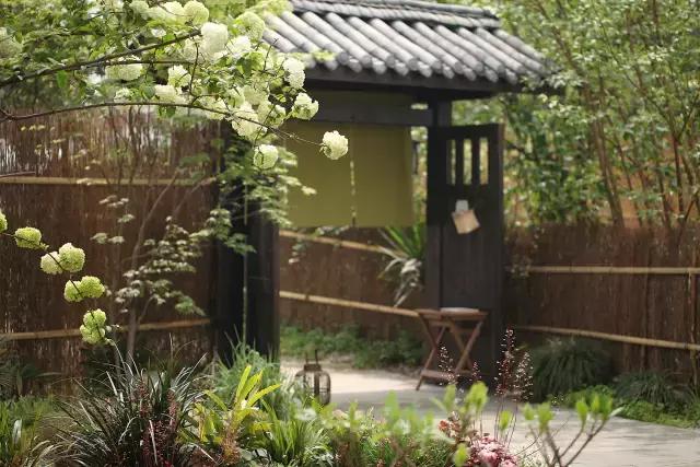 90后小伙花100万造房子,90后小伙花几千元装修500个平方