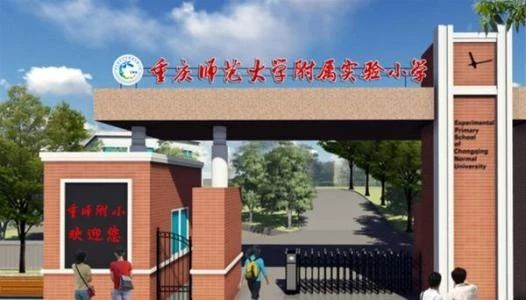 重庆小学学费一年多少钱,重庆小学为什么这么贵