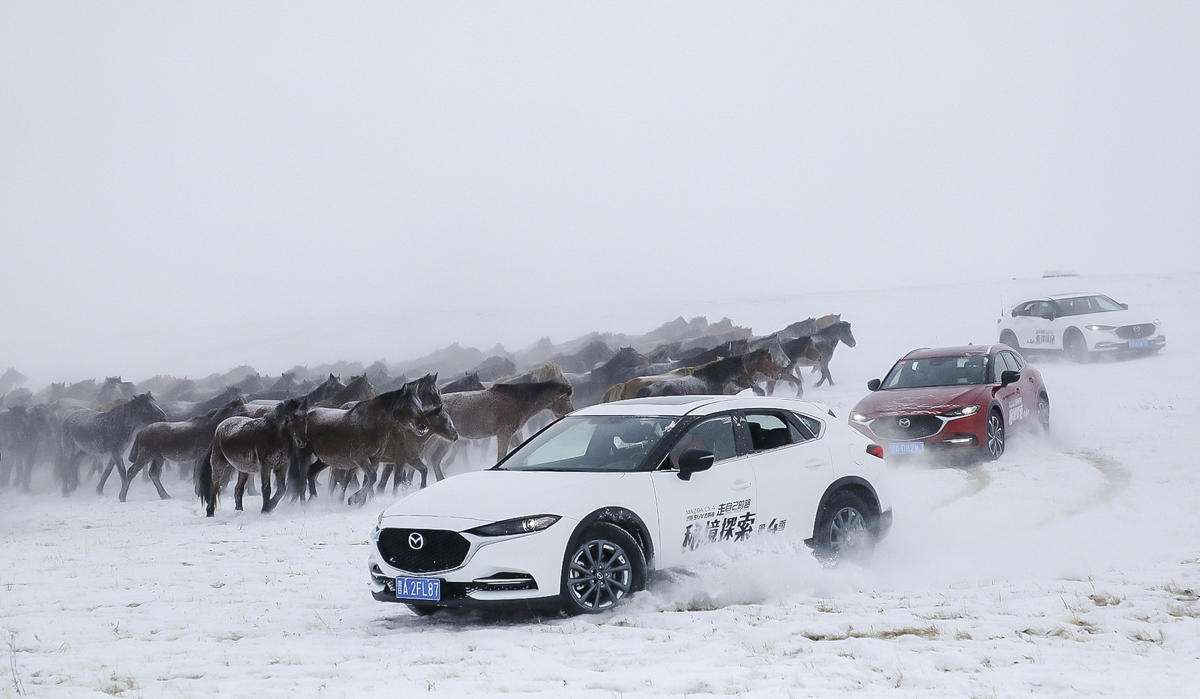 cx-4最近几年销量,cx-30和cx-4比较