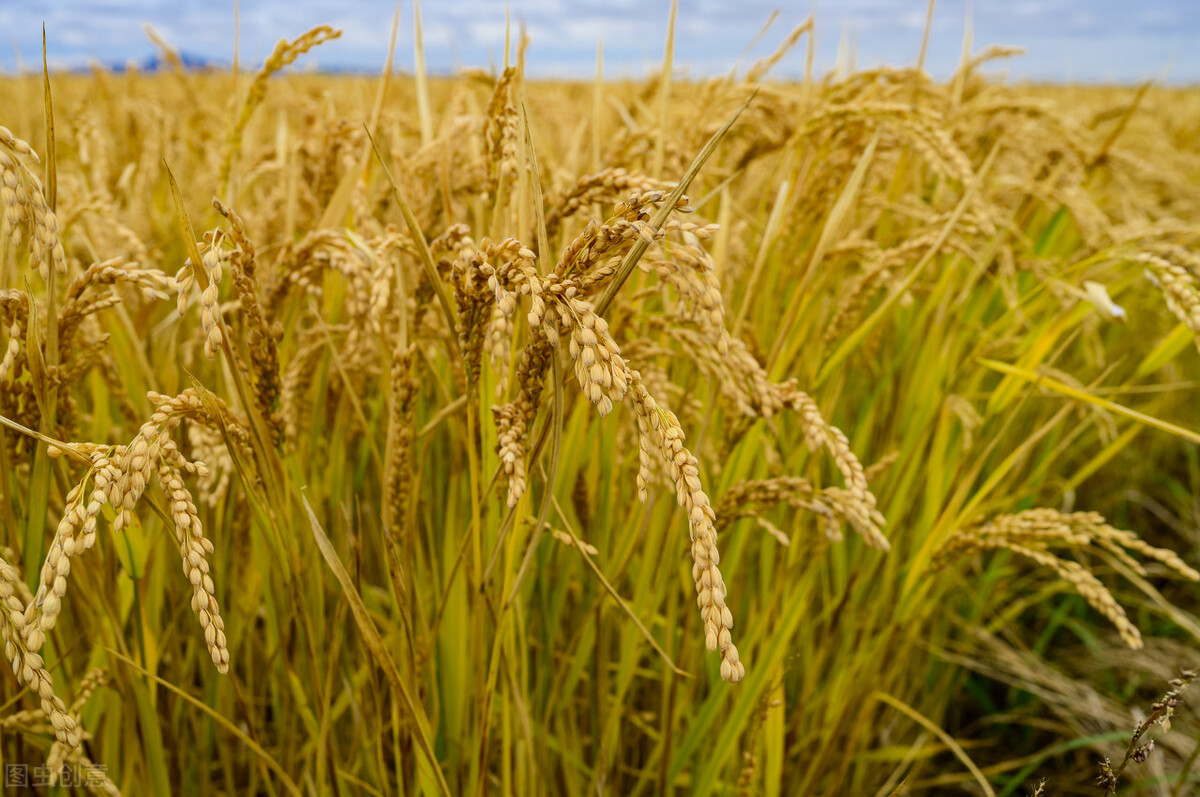 现代社会有旱灾吗,现代会出现旱灾吗