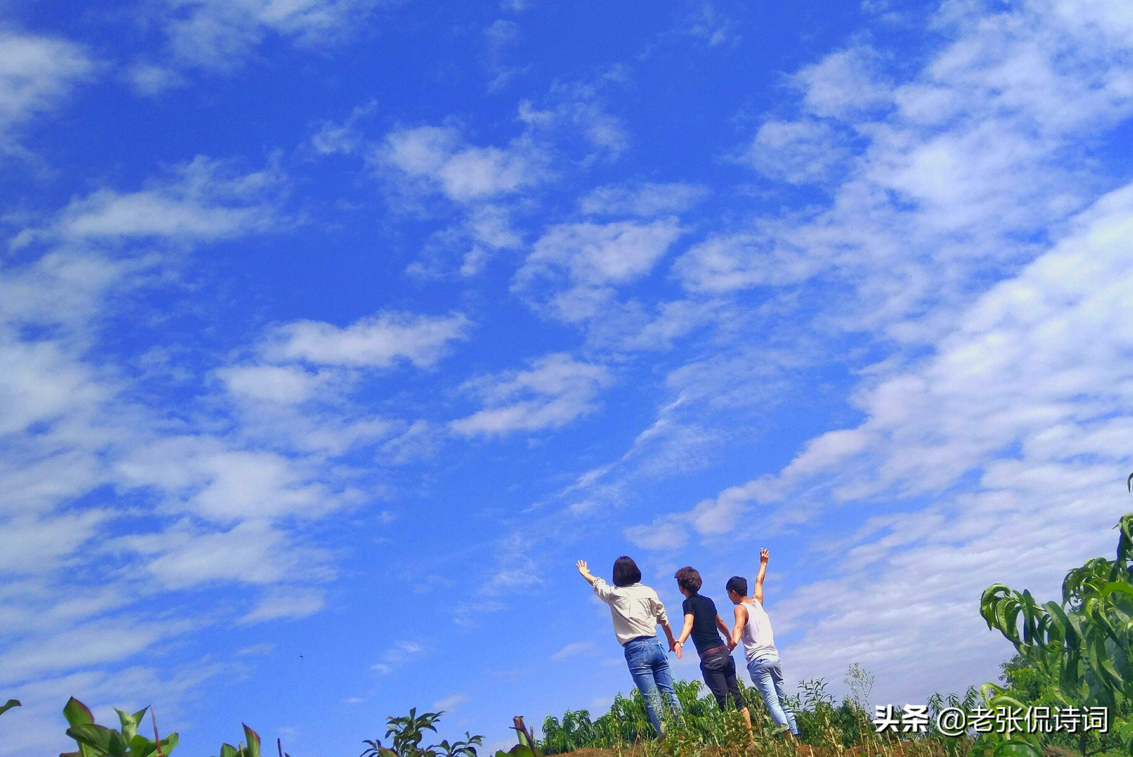 程颢最著名的哲理诗,程颢诗大全