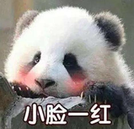 宝宝湿疹脸上长疹子,宝宝湿疹过后脸上身上都有小疙瘩