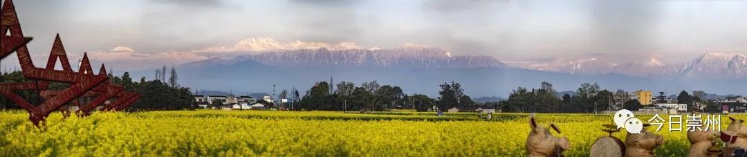 崇州市区看雪山,崇州看雪山