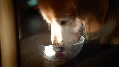 如何在家自制奶油冰棍,自制冰棍手工制作