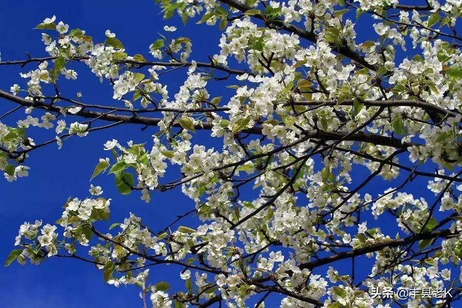 外地人眼中的城市vs真实的城市,外地人眼中的江苏vs实际上的江苏