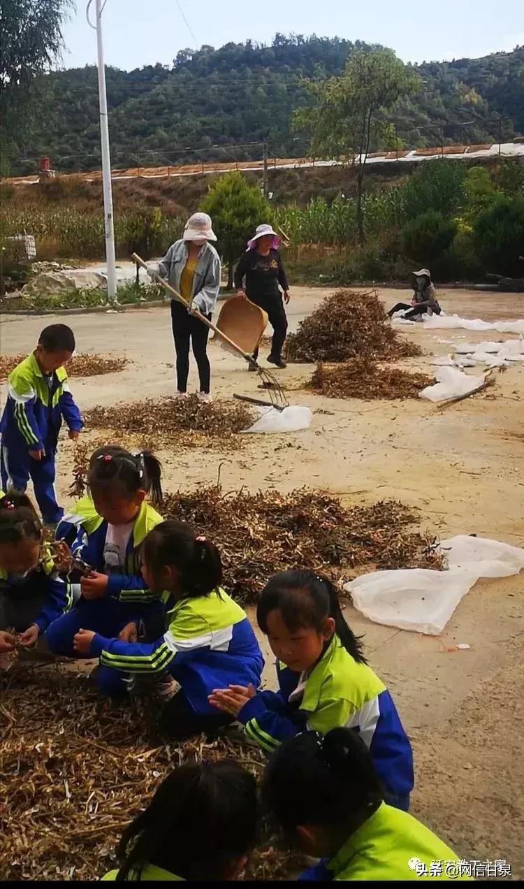 金太阳幼儿园校门,延安市甘泉谢金庄幼儿园