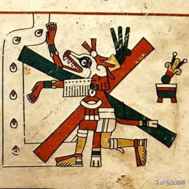 六角恐龙鱼和美西螈有区别吗,水族观赏六角恐龙