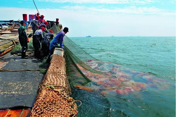 舟山海鲜年夜饭礼包,舟山黄鱼年夜饭做法
