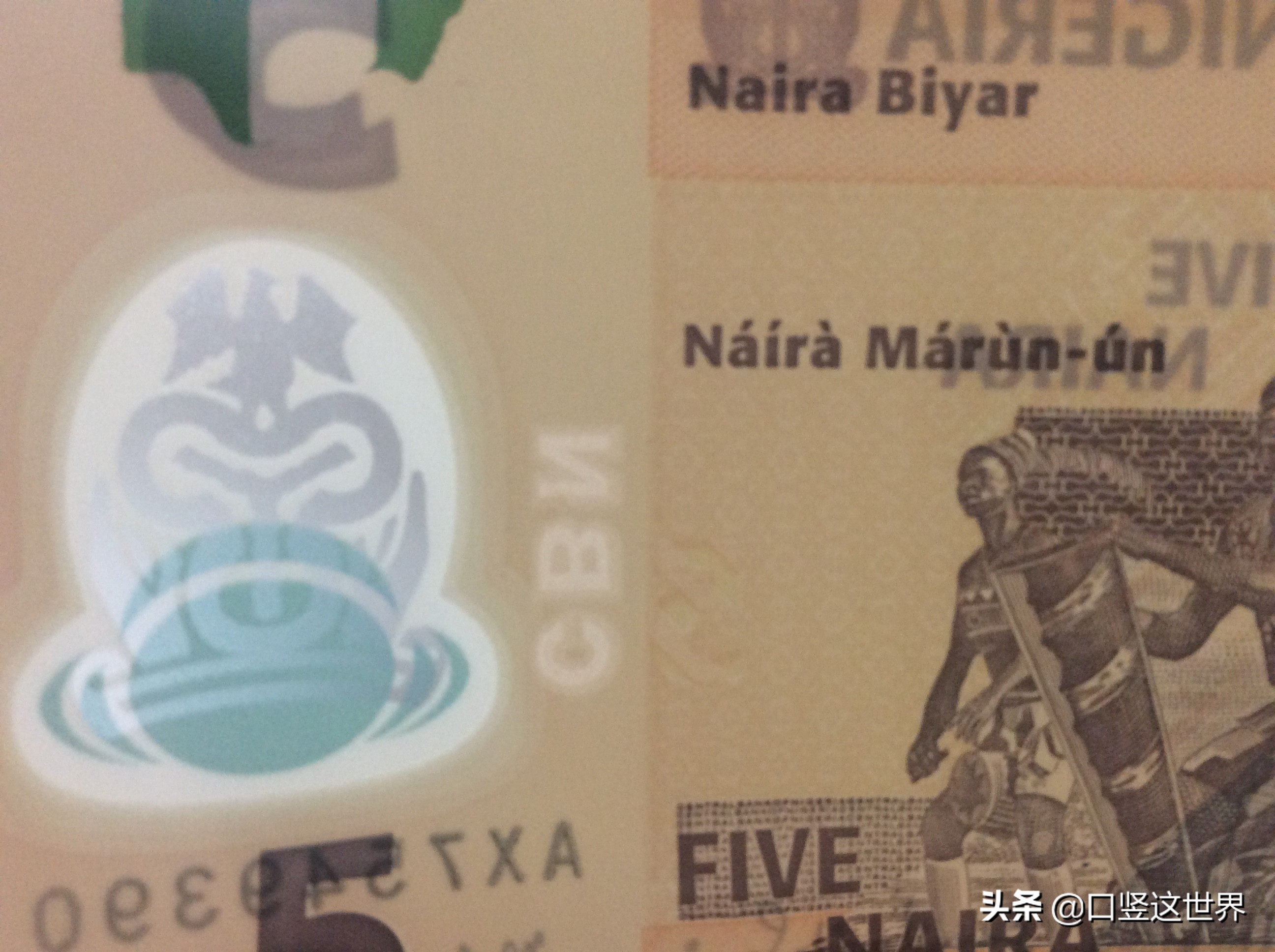 尼日利亚货币是塑料钞吗,尼日利亚塑料钞图片