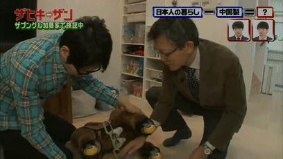 龙角散和京都念慈庵哪个好,龙角散与京都念慈庵谁好用