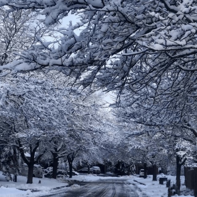 家乡特色美食分享,我家乡的特色是什么