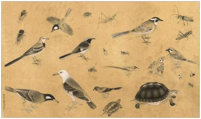 蜜蜂弱小蜂群如何快速发展,弱小的蜜蜂