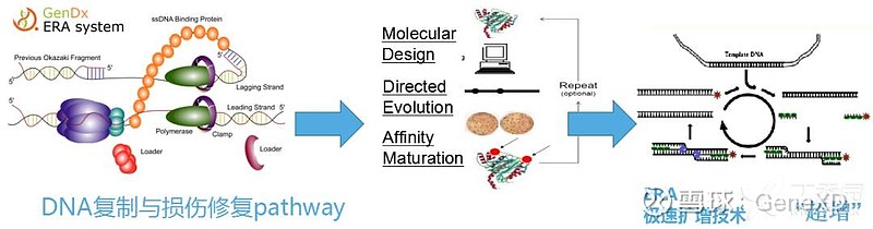 全场硬菜！分子诊断技术全解析