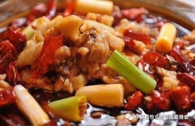 舌尖美食川味完整版,舌尖上的中国美食兔肉