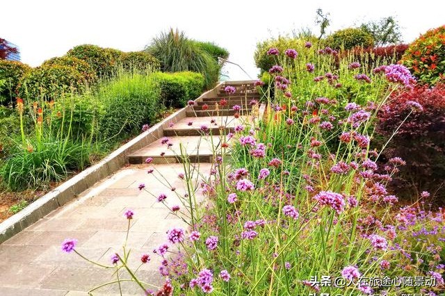 南京面积最大的公园，美不胜收却被游客忽略