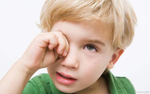 脑神经专家课程,脑神经科学与教育