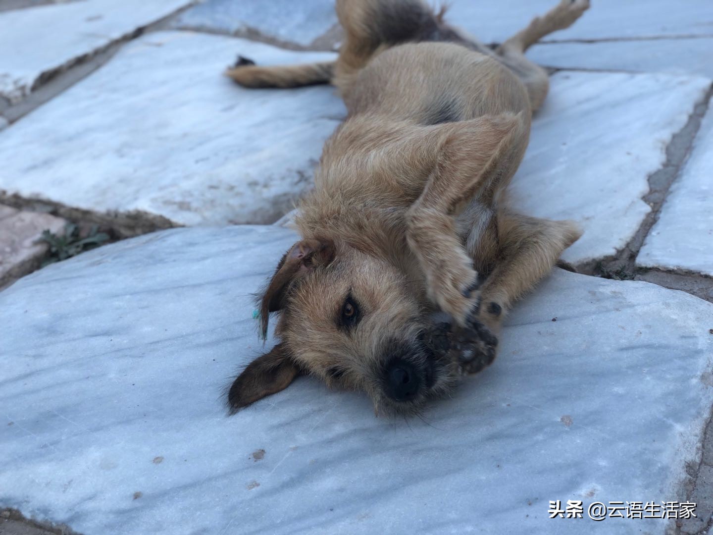 远走土耳其，我在星月之国上天入海（三）