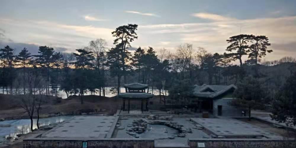 考古造假的真实事件,中国发现原始鸟化石