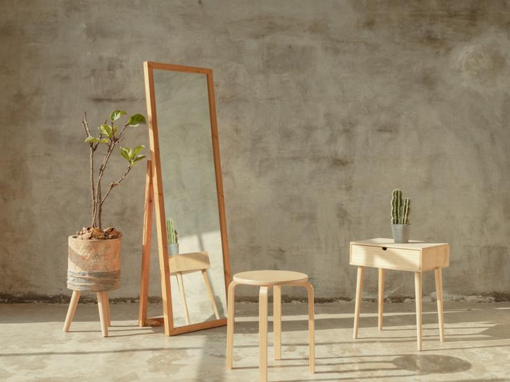 捡了棵凤尾竹怎么能活,单株凤尾竹