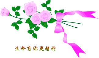 朋友圈能发出来的表情包,朋友圈评论多了表情包