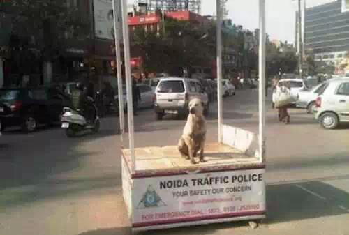 为什么印度是神奇的国度,为啥印度是个神奇国度啊