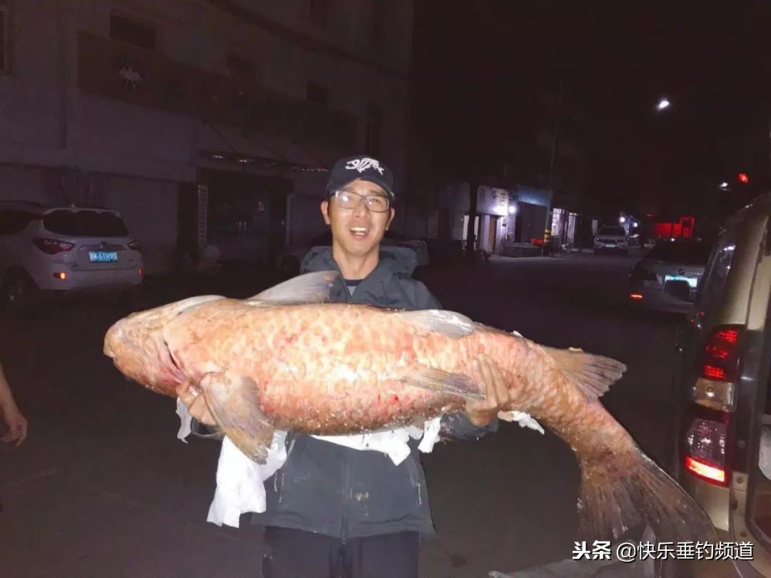 自然水域钓青鱼的最佳选位方法,野钓大青鱼最好的方法