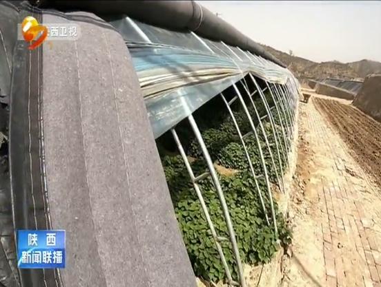 清涧：一边碾米一边直播不出家门把钱挣