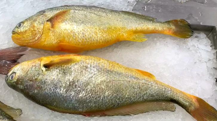 大厨教你怎么做鱼看着就很有食欲,无论炖什么鱼记住这2个步骤