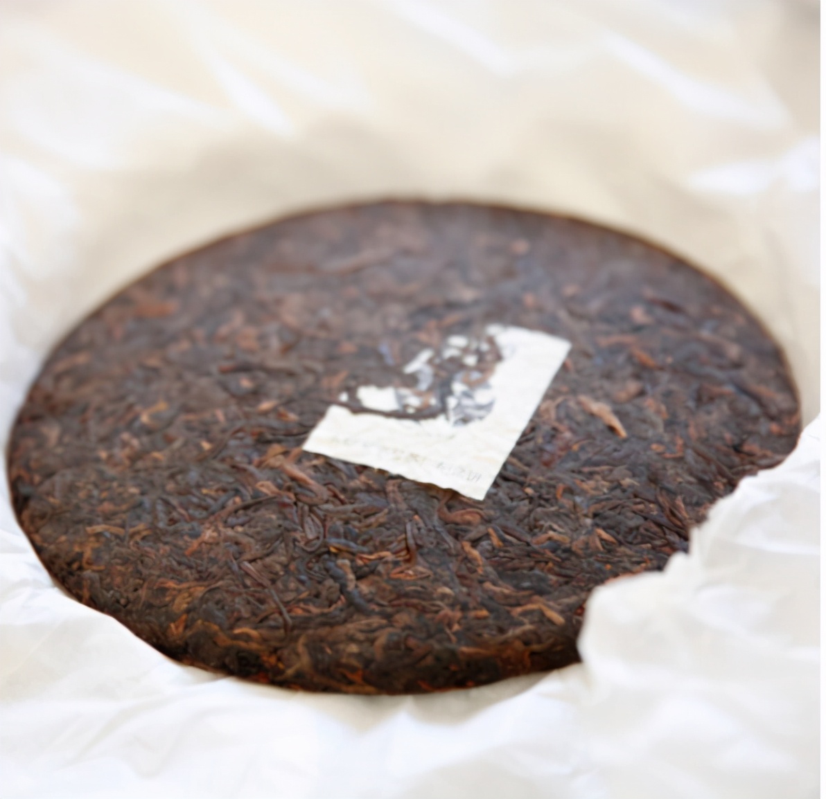 茗战之将，一饼“天生要强”的云南七子饼