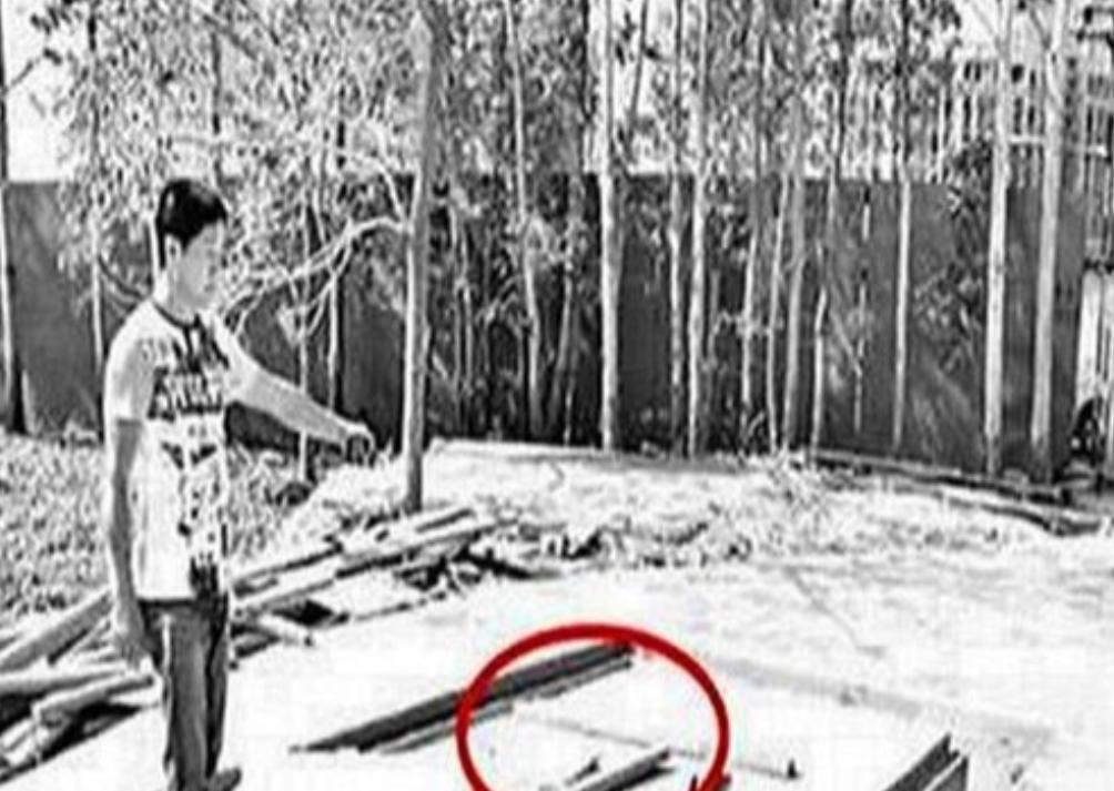 1963年女会计,1963年河北女会计失踪之谜