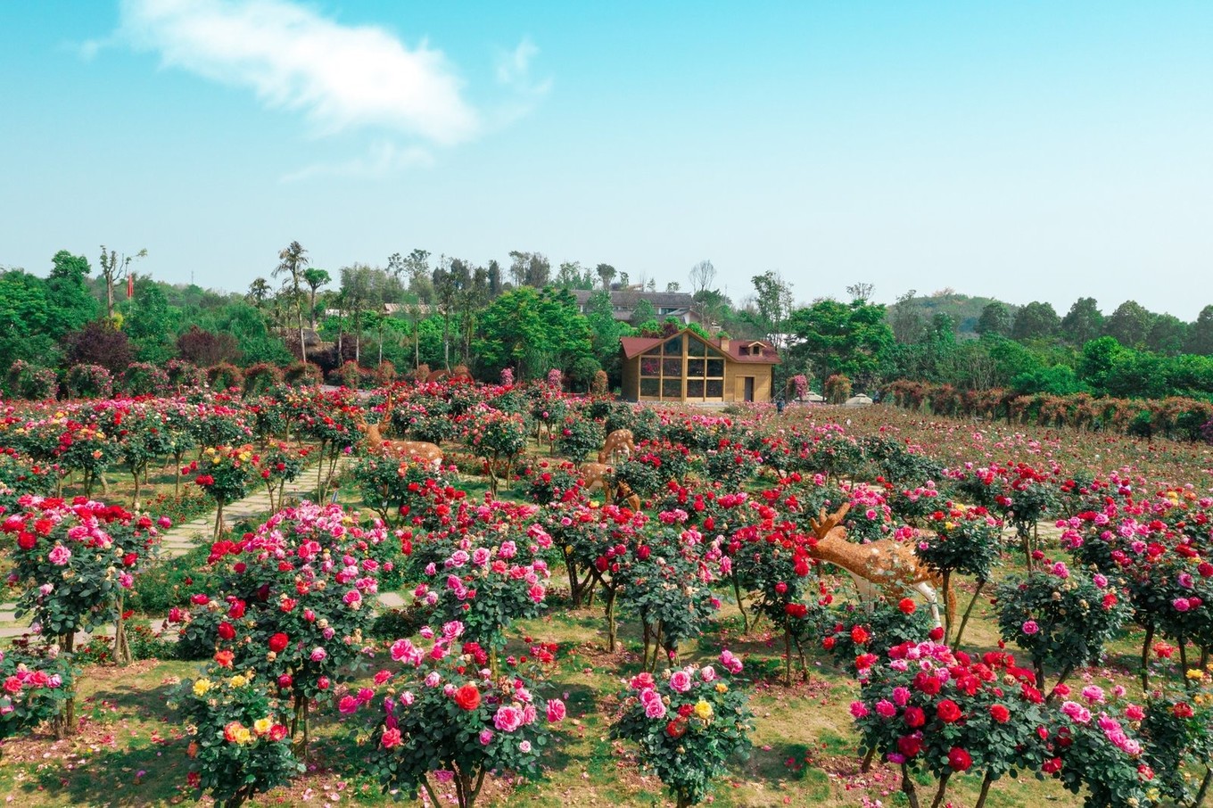 治愈圣地，共赴重庆合川铜梁，一见古今山水城