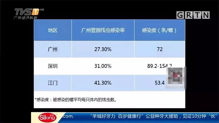 中国吃货都征服不了的非洲大蜗牛,它们是如何入侵中国的?