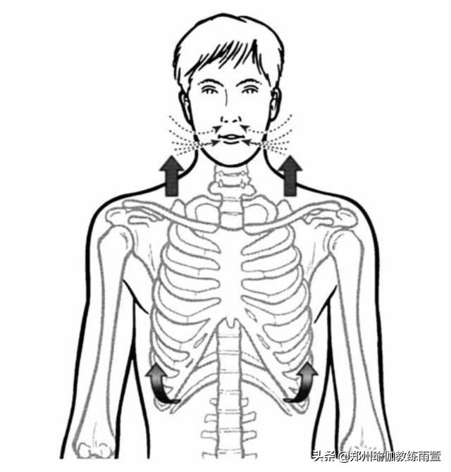 肋骨外翻会有后背疼是怎么回事,右侧肋骨外翻隐痛要警惕三种病