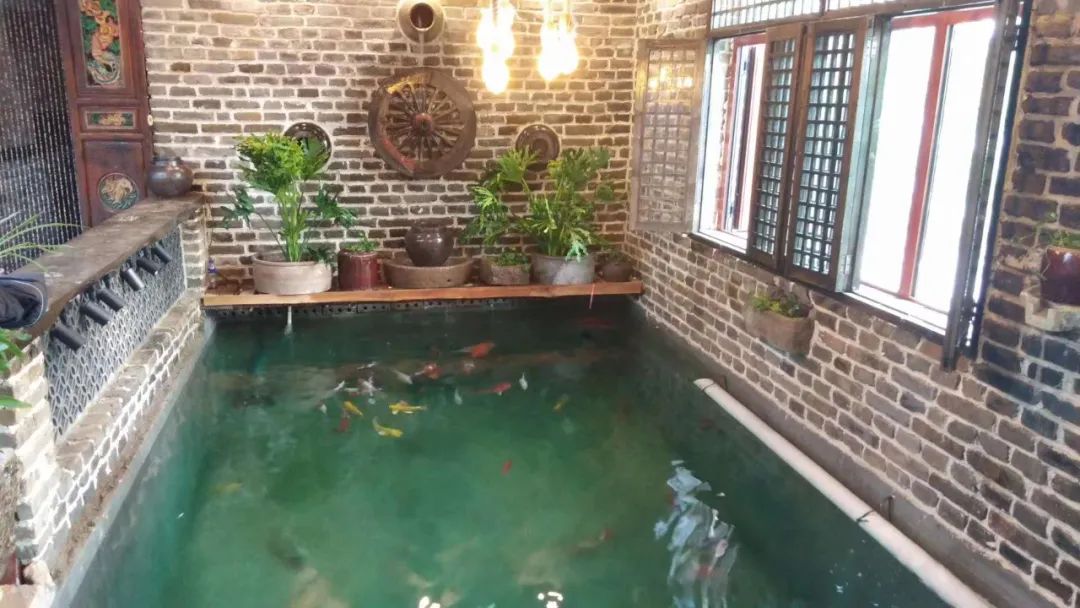 济南申请加入“大乱斗”！@理塘丁真，你的珍珠……泉在这里！