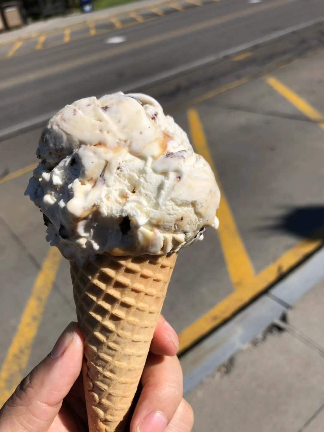 探秘美国康奈尔大学，细数康奈尔的这“几宗最”