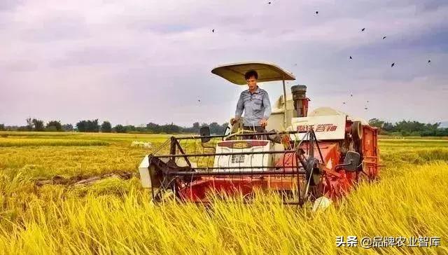 变态的日本农业：敬畏自然、超前思维、死磕单品！